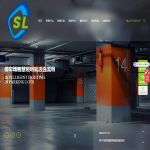 深圳市强流明照明有限公司