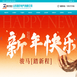 山东智宇电气有限公司