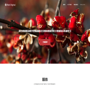 综合数据驱动数字营销