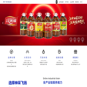 神采飞扬·创意中国