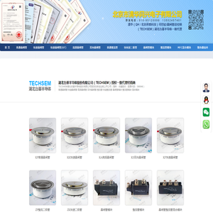 北京市清华同兴电子有限公司