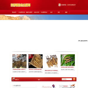 冬虫夏草的功效与作用及食用方法