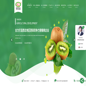 陕西绿心猕猴桃价格