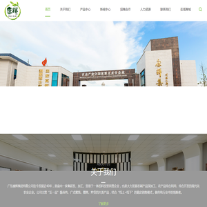 广东康辉集团有限公司