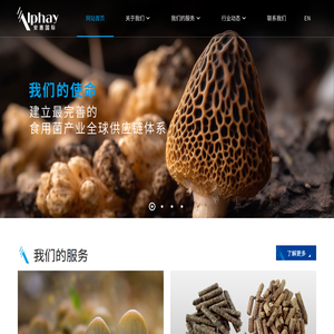 安惠国际贸易有限公司