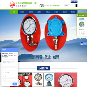 宜昌原宜仪表有限公司