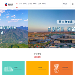 中大（天津）集团有限公司