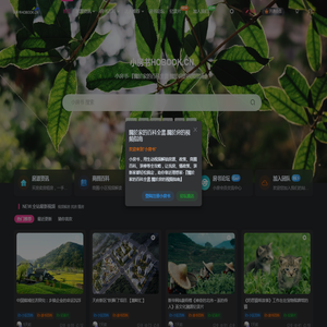 『關於家的百科全書.關於房的視頻指南』