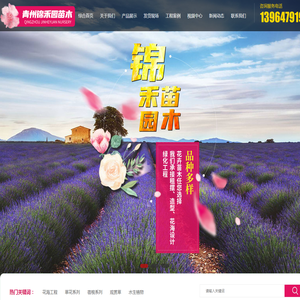 青州锦禾园苗木有限公司