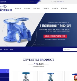 上海凯斯通阀门有限公司