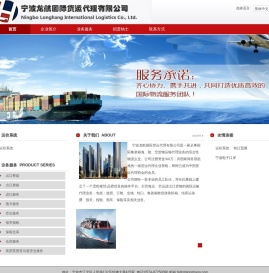 宁波龙航国际货运代理有限公司