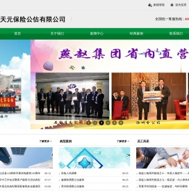 天元保险公估有限公司