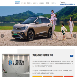 新能源汽车销售/租赁/出口/充电桩运营