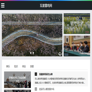 瓦釜雷鸣网