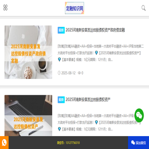 城投标债网