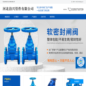 河北泊兴管件有限公司