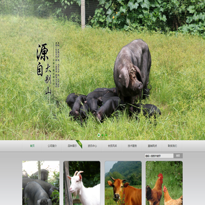 金寨县鑫家寨生态农业开发有限公司