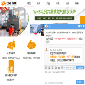 燃气蒸汽锅炉
