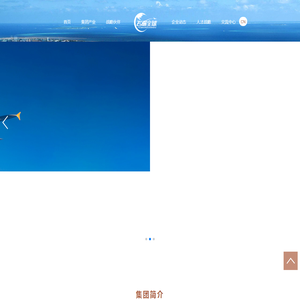 飞遍全球国际旅游集团