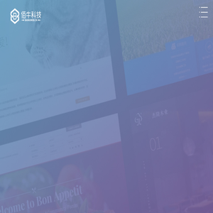 深圳网站建设