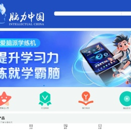 脑力中国