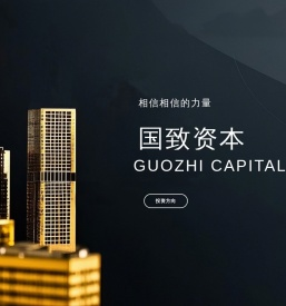 国致资本