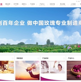 山东芳蕾玫瑰集团有限公司