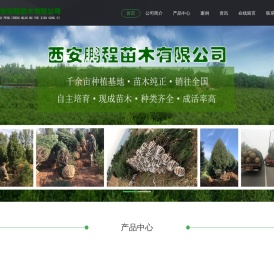 陕西白皮松价格