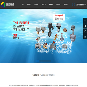 武汉三合亿达科技发展有限公司