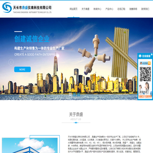 天长市鼎盛仪表科技有限公司