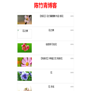 桐驰青春百科网