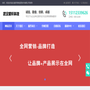 专注线上营销广告