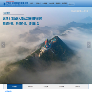 江西技研新阳电子有限公司