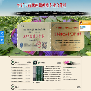 宿迁市荷林莲藕种植专业合作社