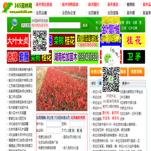 防爆伺服电机