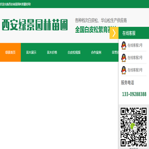 白皮松