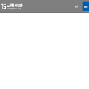 嘉善天晟精密铸件股份有限公司