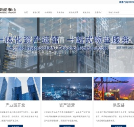 山东新能泰山发电股份有限公司