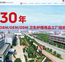 福建新亿发集团