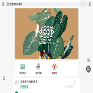 热带loveplants