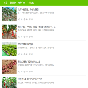 深圳市博智派科技有限公司