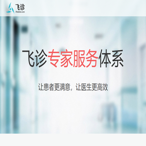 飞诊
