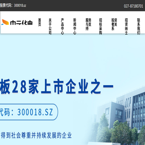 【官网】武汉中元华电科技股份有限公司