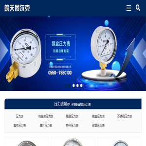 不锈钢耐震隔膜膜盒电接点压力表