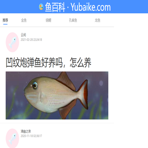鱼百科