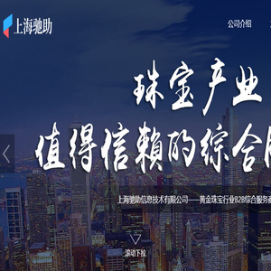 上海驰助信息技术有限公司
