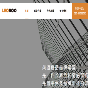 狮子座电商：专注于苏宁易购全渠道运营服务与品牌企业数字零售解决方案