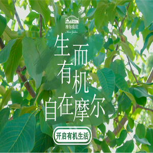 摩尔农庄