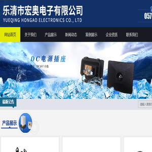 乐清市宏奥电子有限公司