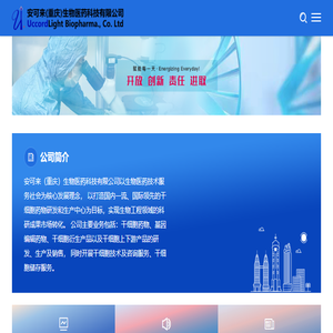 安可来有限公司